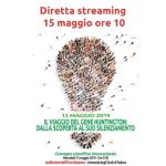 Diretta streaming immagine in evidenza